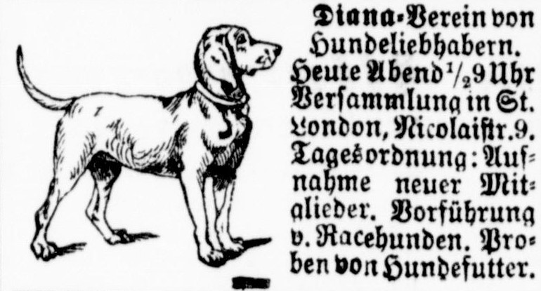 06_Leipziger Tageblatt_1878_12_12_Nr346_p6698_Hundezucht_Hundefutter_Diana